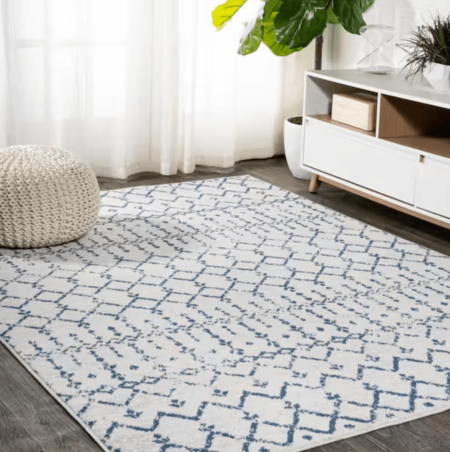 rug must have items for your home